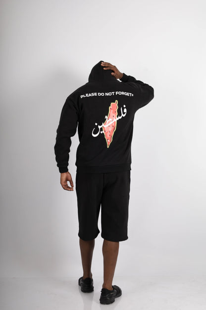 HOODIES OVERSIZE PALESTINE PASTEQUE