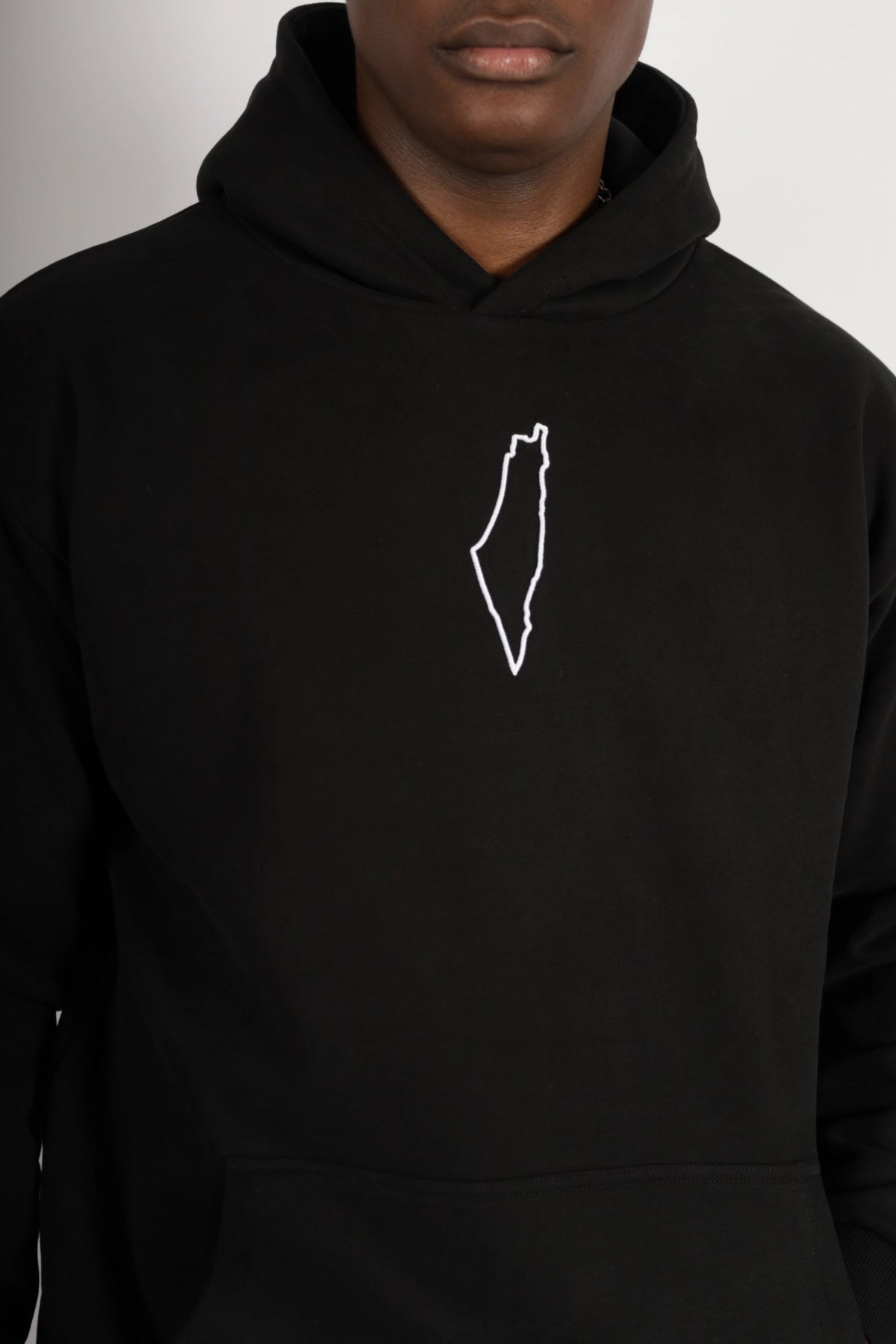 HOODIES OVERSIZE PALESTINE PASTEQUE