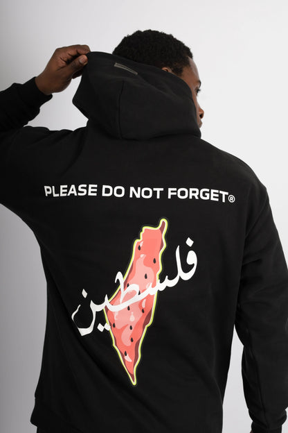 HOODIES OVERSIZE PALESTINE PASTEQUE